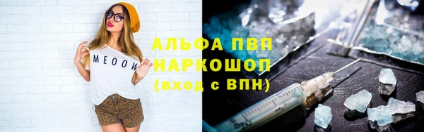 шишки Аркадак