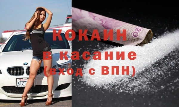 шишки Аркадак
