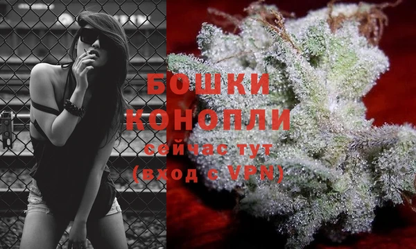 шишки Аркадак